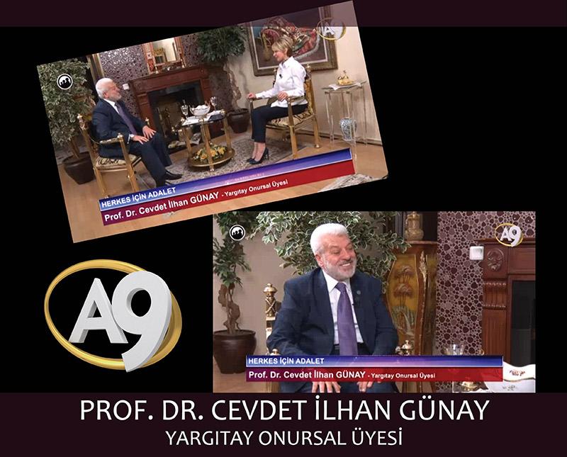 Prof. Dr. Cevdet İlhan Günay, Yargıtay Onursal Üyesi	 