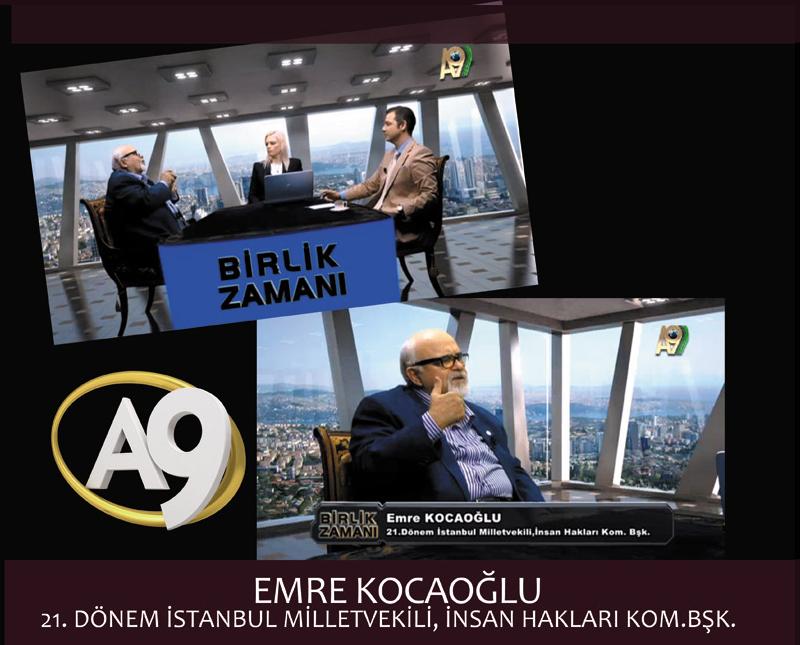 Emre Kocaoğlu, 21. Dönem İstanbul Milletvekili, İnsan Hakları Kom. Bşk.	