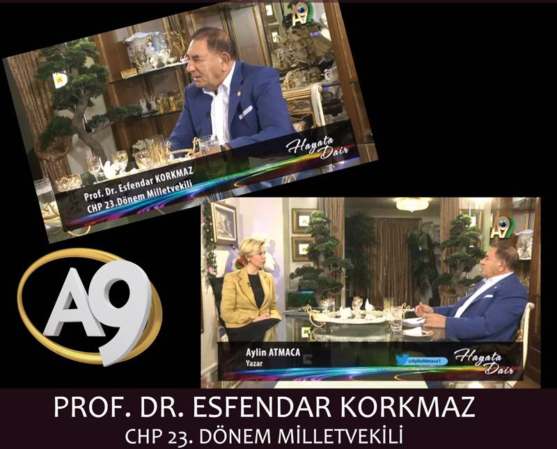 CHP 23. Dönem Milletvekili Prof. Dr. Esfendar Korkmaz 	 