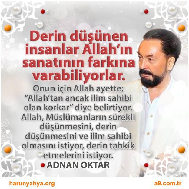 Derin düşünen insanlar Allah’ın sanatının farkına varabiliyorlar.