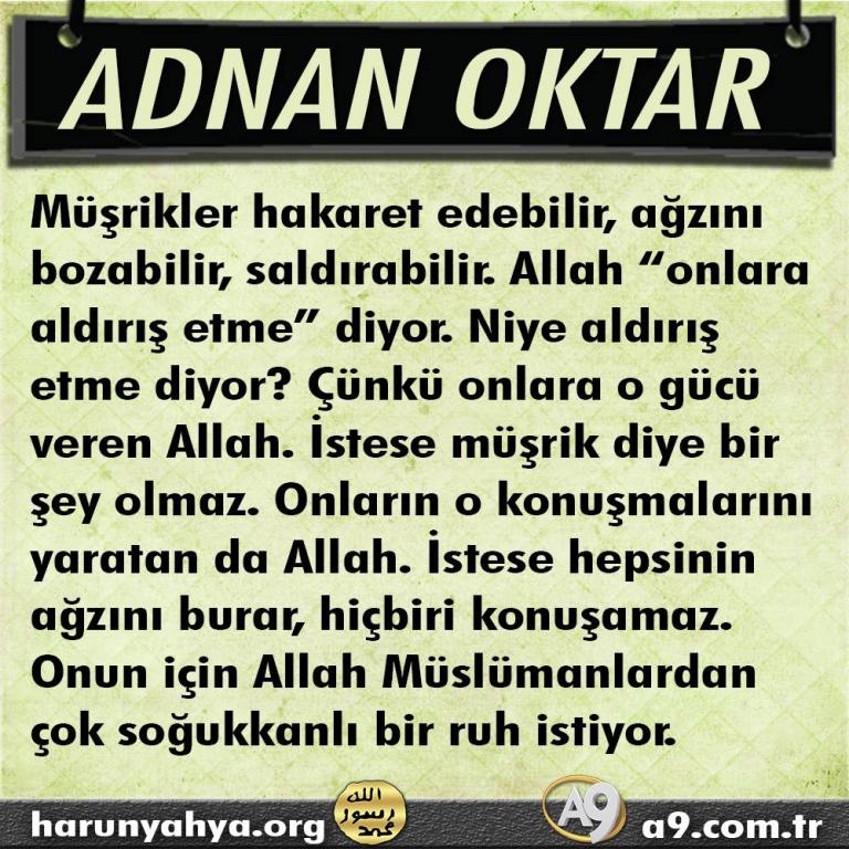 Müşrikler hakaret edebilir, ağzını bozabilir, saldırabilir. Allah "onlara aldırış etme" diyor?