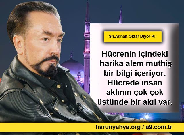 Hücrenin içindeki harika alem müthiş bir bilgi  içeriyor.