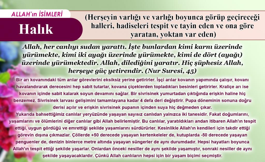 Halık (herşeyin varlığı ve varlığı boyunca görüp geçireceği halleri, hadiseleri tespit ve tayin eden, yaratan, yoktan var eden)