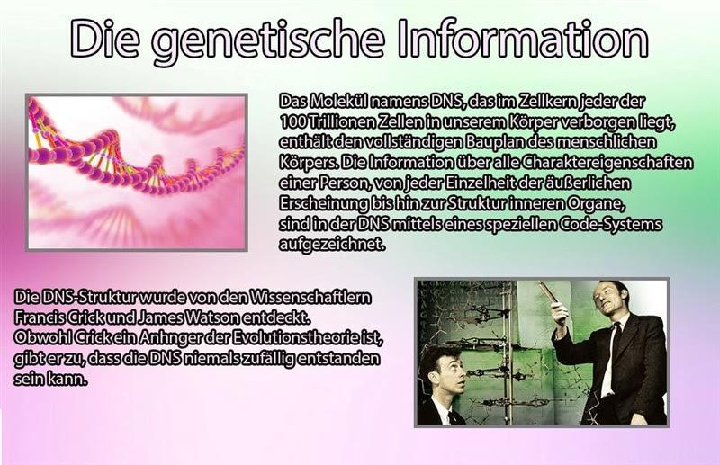 Die genetische Information