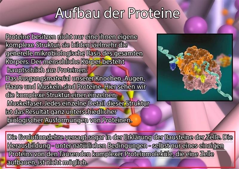 Aufbau der Proteine