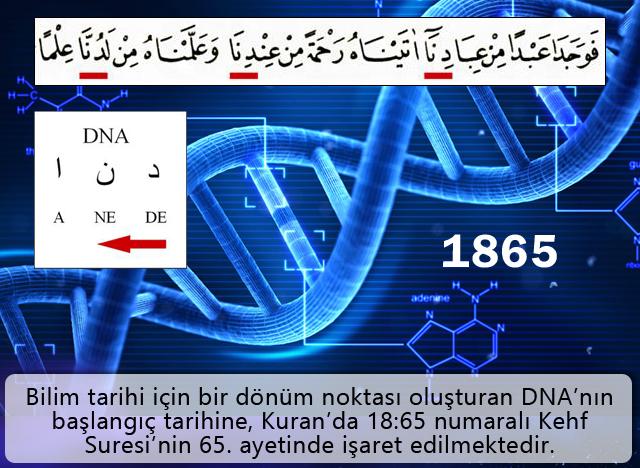 Dna ve Genetik Tarihinin Başlangıcı