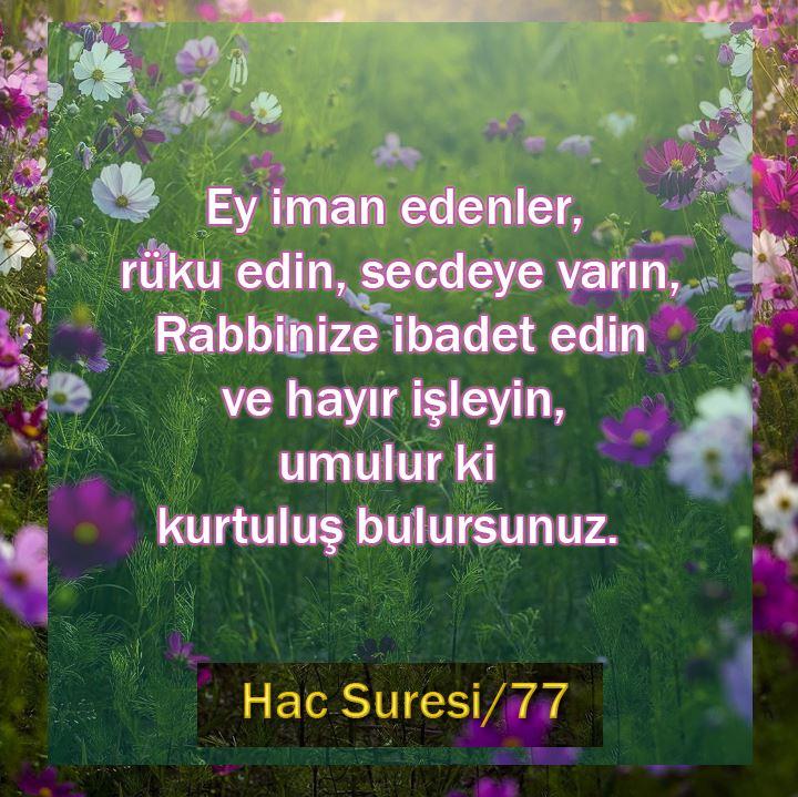 Hac Suresi 77