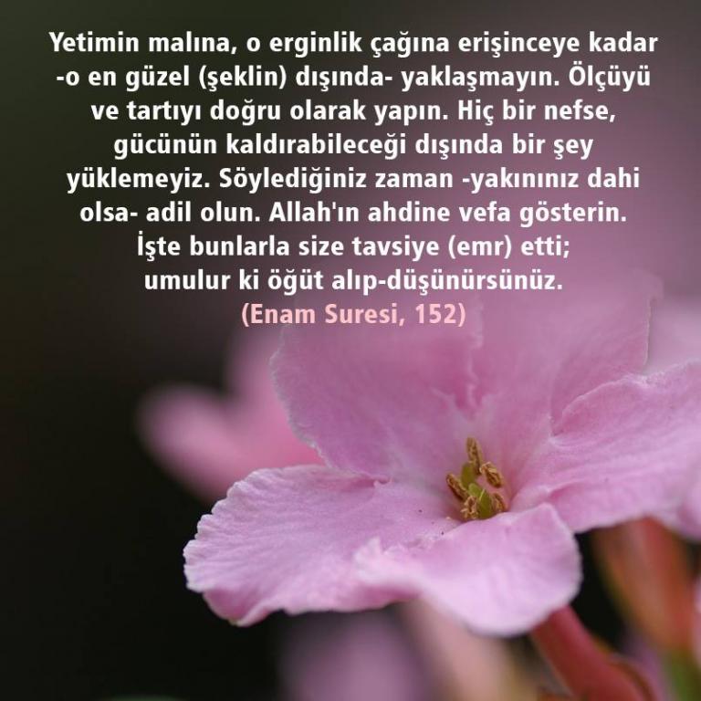 Enam Suresi 152