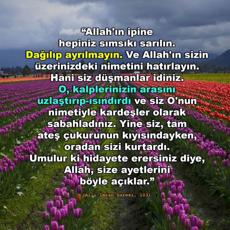 Al-i İmran Suresi 103