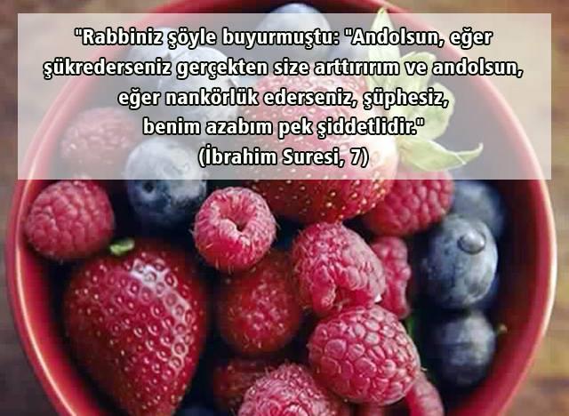 İbrahim Suresi 7