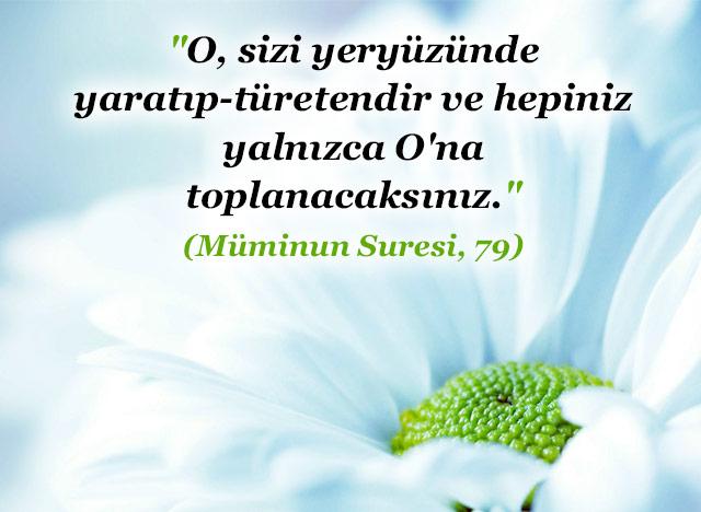 Müminun Suresi, 79