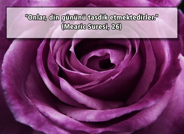 Mearic Suresi, 26