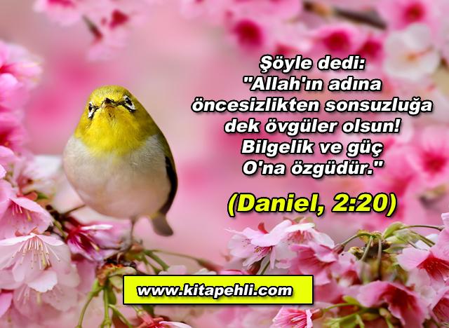Daniel, 2:20
