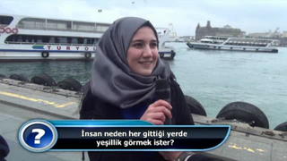 İnsan neden her gittiği yerde yeşillik görmek ister?