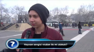 Hayvan sevgisi vicdan ile mi alakalı?