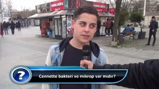 Cennette bakteri ve mikrop var mıdır?