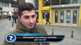 Dünyadaki hayvanların cennette yeri var mı?