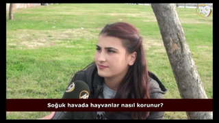 Soğuk havada hayvanlar nasıl korunur?