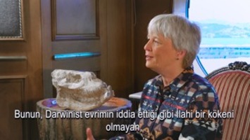 Dr. Anjeanette Roberts: Bağışıklık Sisteminin Aşamalı Olarak Gelişmiş Olması Mümkün mü