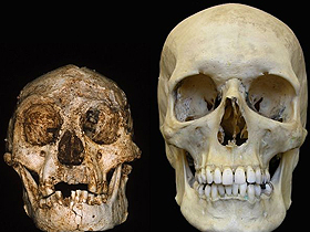 AL 666-1 (The fossil record of Homo sapiens)