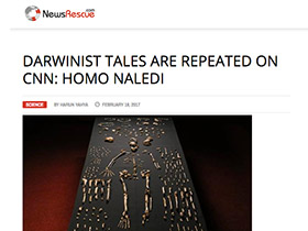 CNN’de Darwinist Masallar Tekrarlanıyor: Homo Naledi