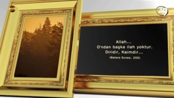 Allah'ın isimleri: Hayy (Diri, her şeyi bilen ve her şeye gücü yeten)