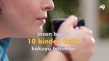 Koku alma sistemindeki tasarım