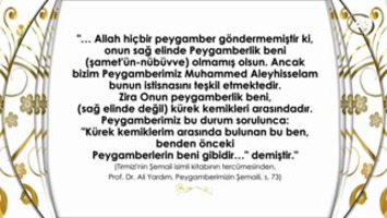 Peygamber Efendimizin nübüvvet (peygamberlik) mührü