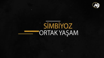 Simbiyoz (ortak yaşam) nedir?