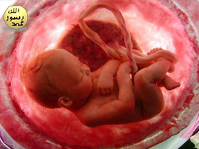 The mother’s womb with its secure protection