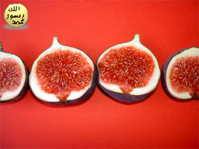 La figue: un fruit don't la perfection n'a ete decouverte que recemment