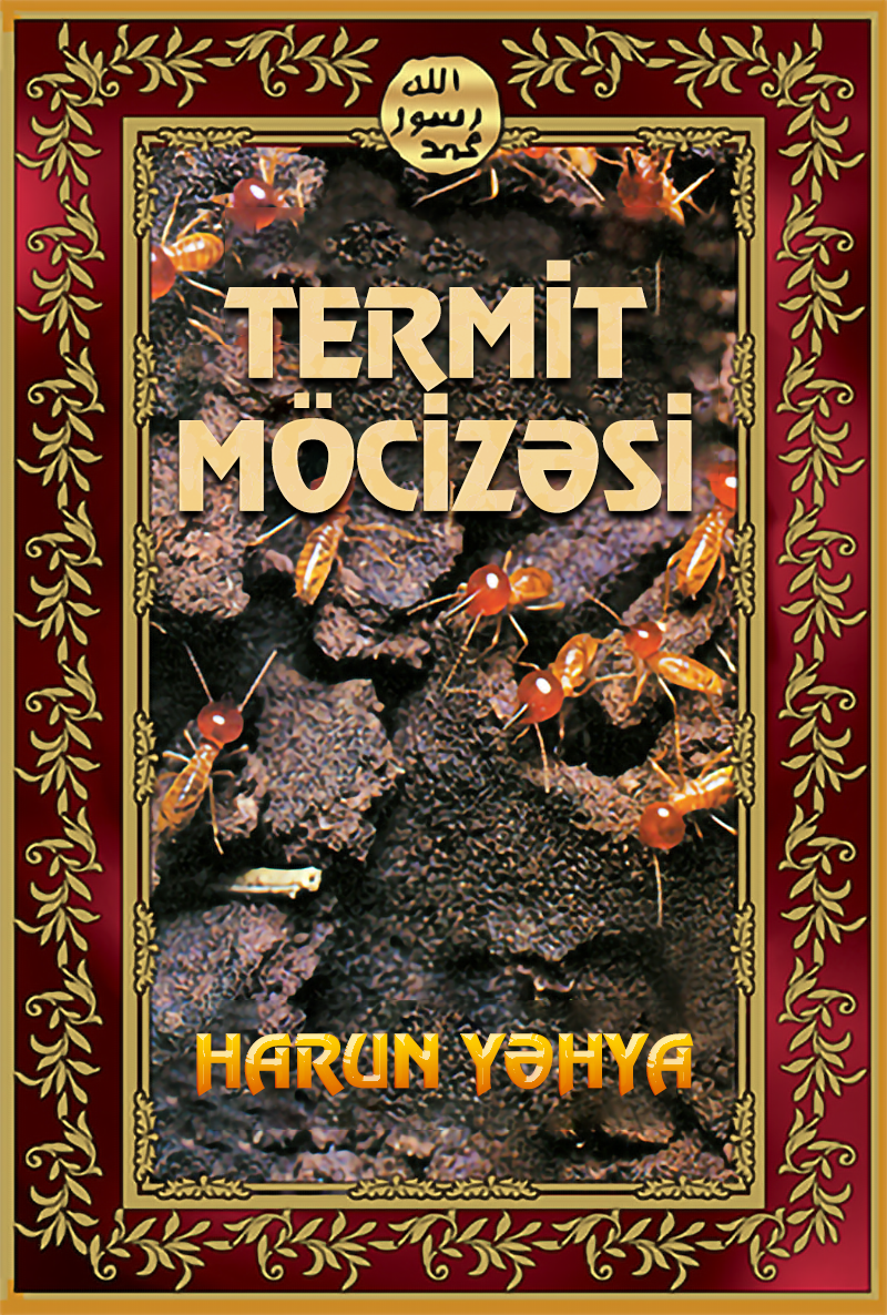 Termit Möcizəsi