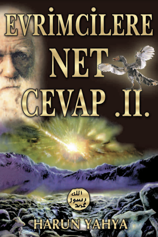 Evrimcilere Net Cevap 2