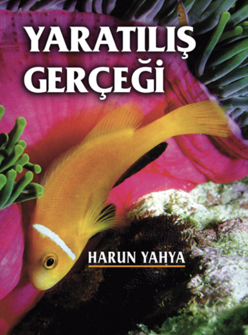 Yaratılış Gerçeği