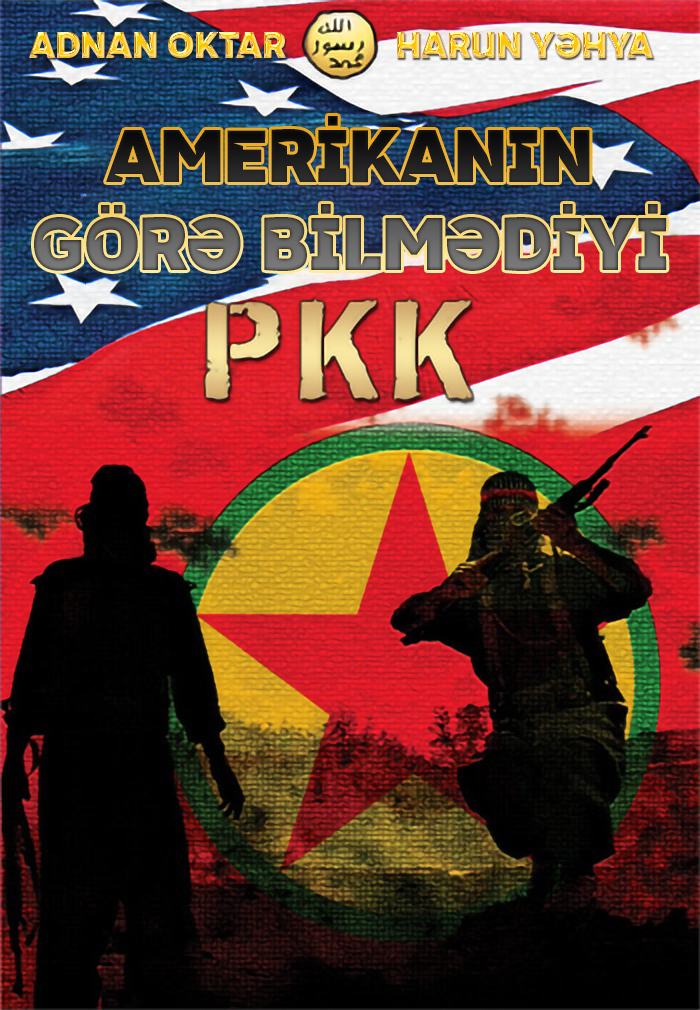 Amerikanın Görǝ Bilmǝdiyi PKK