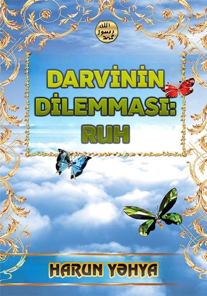 Darvinin Dilemması: Ruh