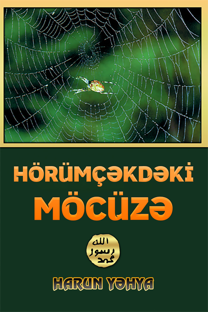 Hörümçəkdəki Möcüzə