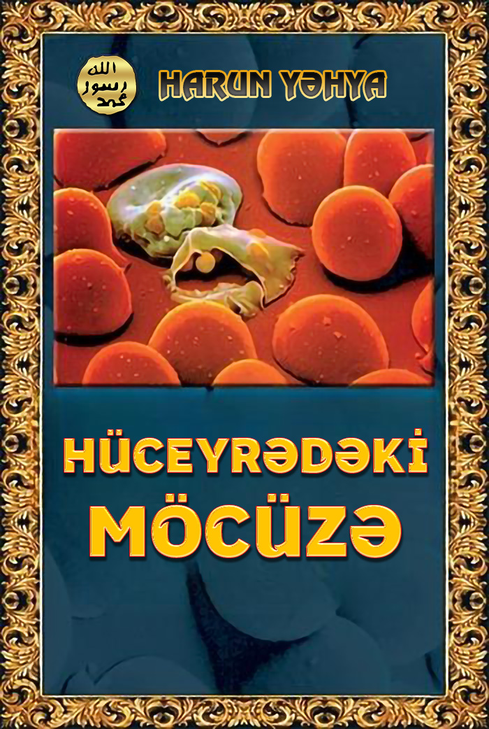 Hüceyrədəki Möcüzə