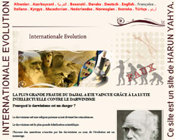 Internationale evolution