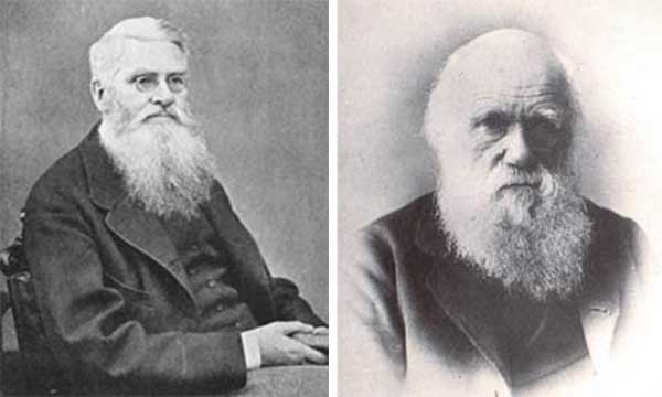  Alfred Russel Wallace and Charles Darwin