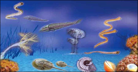 Ordovician Period