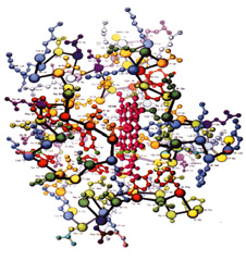 Cytochrome C