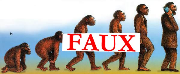 faux, évolutionnistes