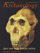 archaeology, PROPAGANDA EVOLUCIONISTA