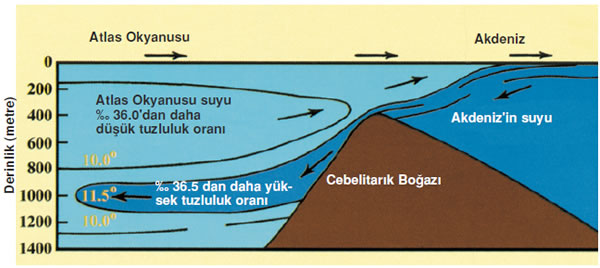 Akdeniz'de ve Atlas Okyanusu'nda büyük dalgalar, güçlü akıntılar ve gel-gitler vardır. Akdeniz'in suyu, Cebelitarık Boğazı'nda Atlas Okyanusu ile karşılaşır. Ama bu karşılaşma sonucu kendi sıcaklık, tuzluluk ve yoğunluk özellikleri değişmez. Çünkü iki deniz arasında görülmeyen bir sınır vardır. 