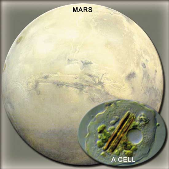 mars