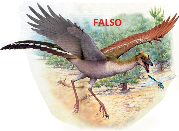 Archaeopteryx rekonstrüksiyon resim