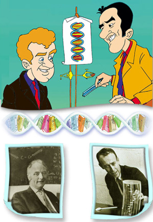 francis crick, james watson